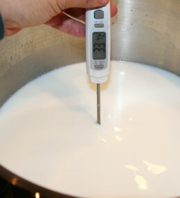 Pasteurización Leche Fresca (Método LTLT)