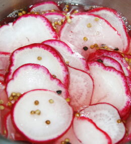 Rabanitos en Escabeche